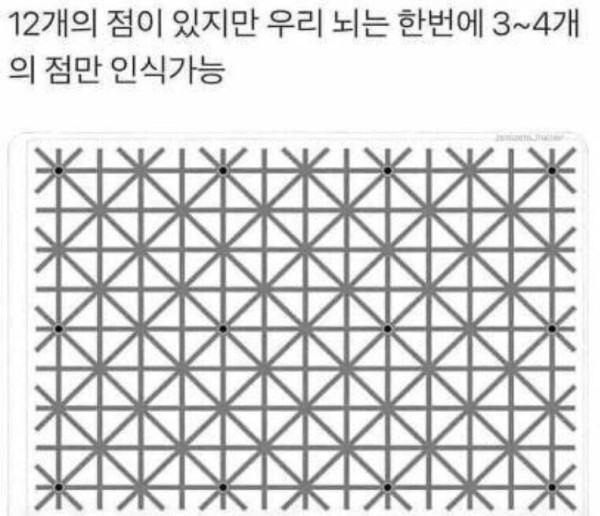 3d8bdc288d1e34576e15071830384211_1638373773_3497.jpg